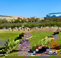Private Picnic and Wine Tasting Experience in Barossa Valley - Whitsundays Accommodation