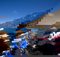 Seal Island Boat Tour from Victor Harbor - Whitsundays Accommodation