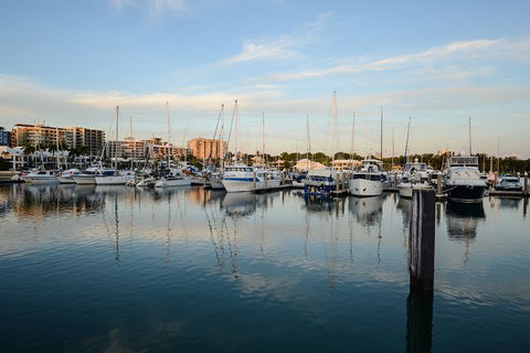 Darwin Shore Excursion: Hop-on Hop-off Bus Tour - Whitsundays Accommodation 2