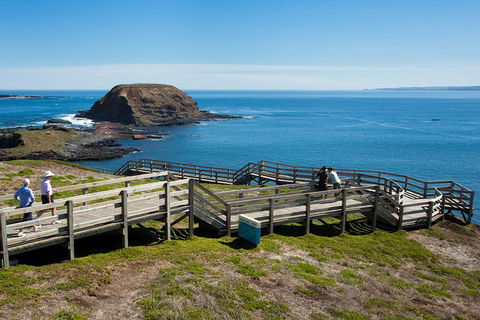 Melbourne Combo: Great Ocean Road, Puffing Billy, Moonlit Sanctuary & Penguins - Whitsundays Accommodation 5