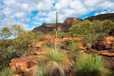 6-Day Eyre Peninsula & Flinders Ranges Adventure Tour - Whitsundays Accommodation 1