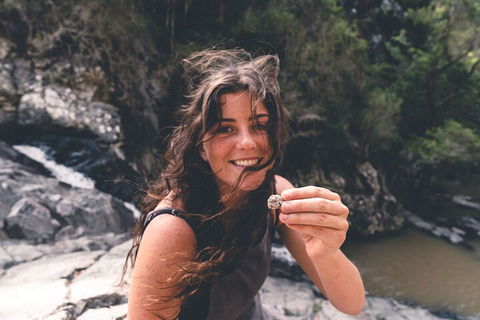 Springbrook AndTamborine Rainforest Tour Incl Natural Bridge And Glow Worm Cave - Whitsundays Accommodation 1