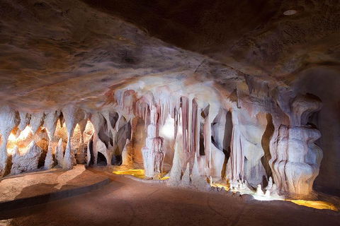 Springbrook AndTamborine Rainforest Tour Incl Natural Bridge And Glow Worm Cave - Whitsundays Accommodation 4