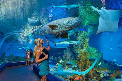 Cairns Aquarium Admission Ticket - Whitsundays Accommodation 3