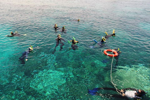 Seastar Luxury Outer Great Barrier Reef Island And Reef Tour From Cairns - Whitsundays Accommodation 2