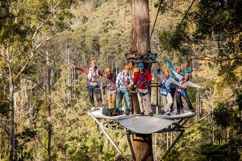 Hollybank Wilderness Adventure - Zipline Tours - Whitsundays Accommodation 1