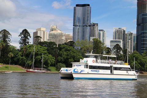 Lone Pine Koala Sanctuary Admission With Brisbane River Cruise - Whitsundays Accommodation 2