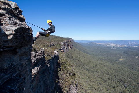 Half-Day Abseiling Adventure In Blue Mountains National Park - Whitsundays Accommodation 1
