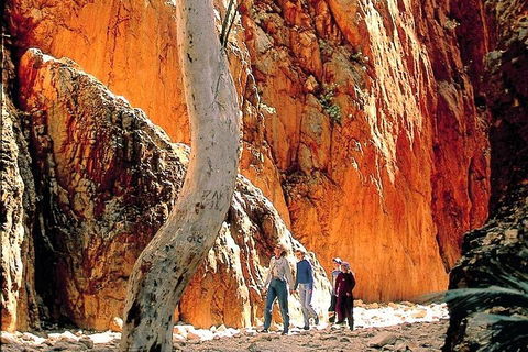 West MacDonnell Ranges Day Trip From Alice Springs - Whitsundays Accommodation 3