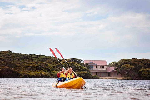 Kangaroo Island Self-Guided Kayaking On The Harriet River - Whitsundays Accommodation 5