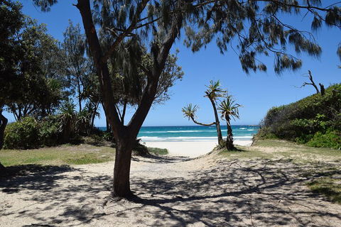 Brisbane Like A Local Customized Private Tour - Whitsundays Accommodation 3