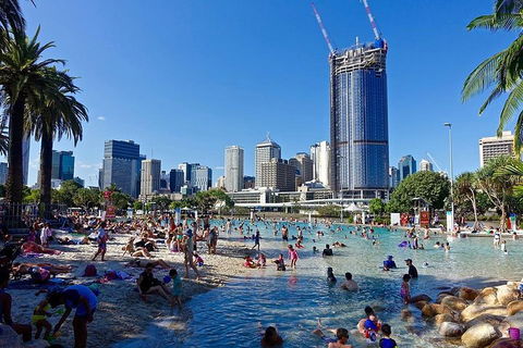 Brisbane Like A Local Customized Private Tour - Whitsundays Accommodation 5