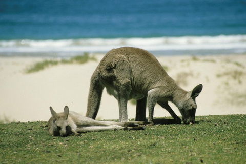 Great Ocean Road Highlights Tour - 2 Days, 1 Night - Whitsundays Accommodation 2